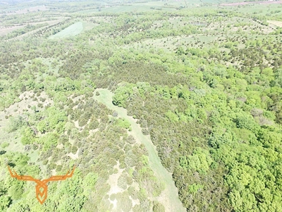 Putnam County Land iAuction - image 24