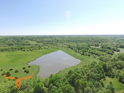 Putnam County Land iAuction - image 4