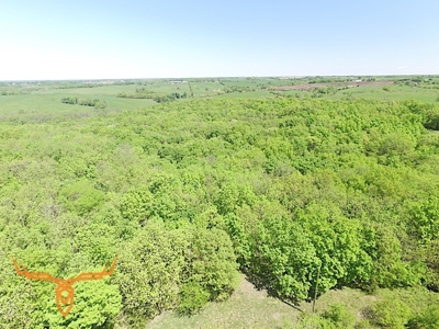 Putnam County Land iAuction - image 20