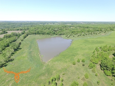 Putnam County Land iAuction - image 5