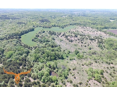 Putnam County Land iAuction - image 43