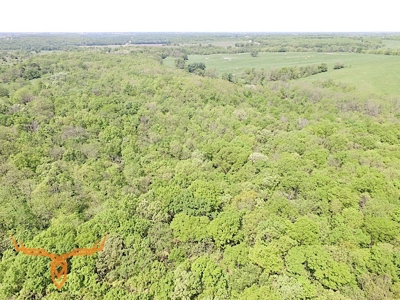 Putnam County Land iAuction - image 16