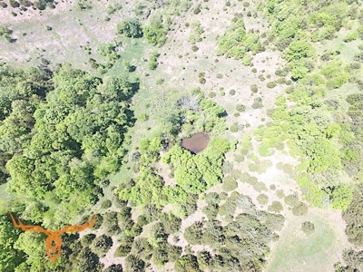 Putnam County Land iAuction - image 41