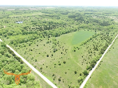 Putnam County Land iAuction - image 29
