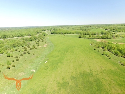 Putnam County Land iAuction - image 7