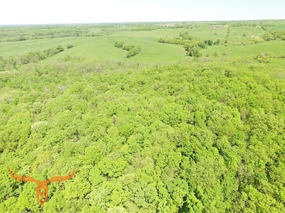 Putnam County Land iAuction - image 15