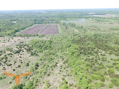 Putnam County Land iAuction - image 42