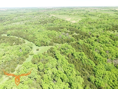 Putnam County Land iAuction - image 35