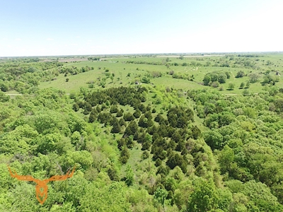 Putnam County Land iAuction - image 32