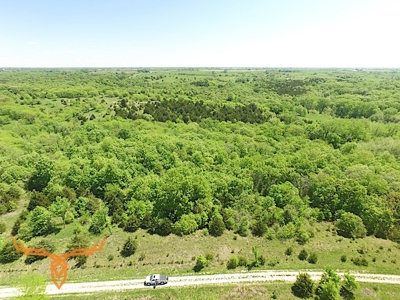 Putnam County Land iAuction - image 47