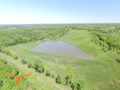 Putnam County Land iAuction - image 6