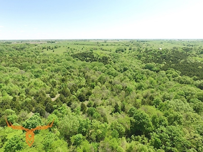 Putnam County Land iAuction - image 31