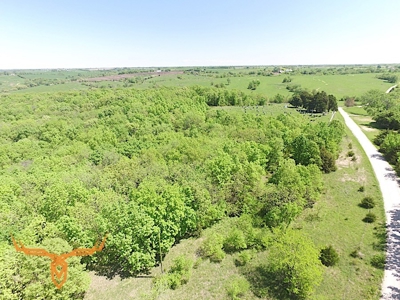 Putnam County Land iAuction - image 14