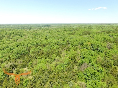 Putnam County Land iAuction - image 33