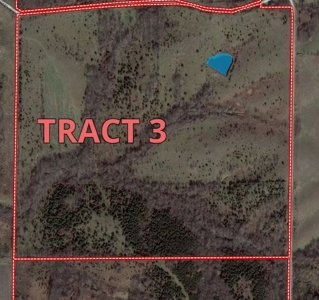 Putnam County Land iAuction - image 50