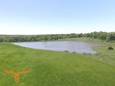 Putnam County Land iAuction - image 12