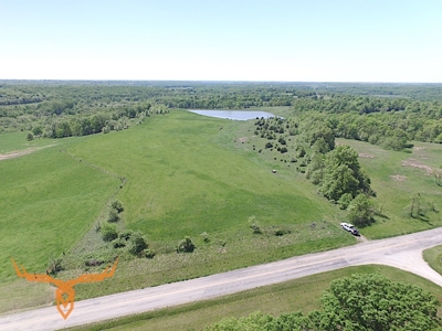 Putnam County Land iAuction - image 8