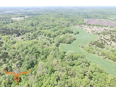Putnam County Land iAuction - image 37
