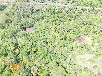 Putnam County Land iAuction - image 46