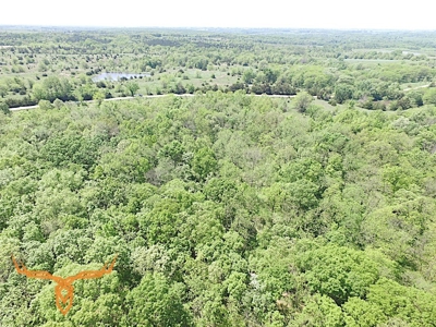 Putnam County Land iAuction - image 17