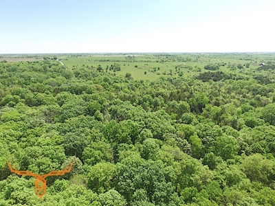 Putnam County Land iAuction - image 34