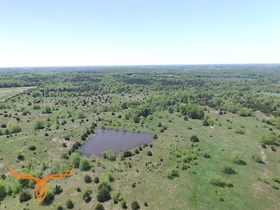 Putnam County Land iAuction - image 28