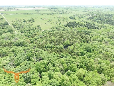 Putnam County Land iAuction - image 36