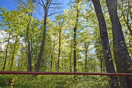 Maine Country Home for Sale in Mapleton - image 27