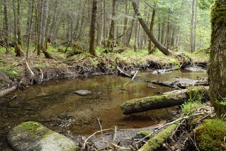 Maine Country Home for Sale in Mapleton - image 10