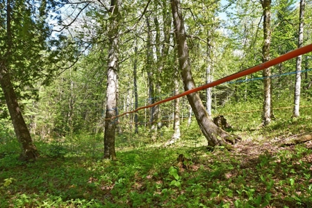 Maine Country Home for Sale in Mapleton - image 26