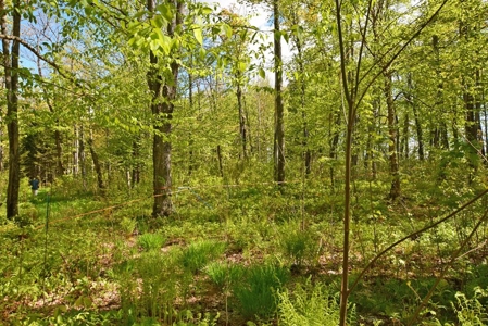 Maine Country Home for Sale in Mapleton - image 25