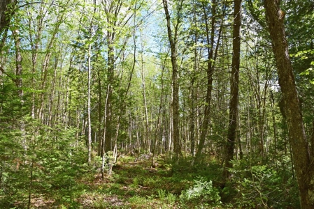 Maine Country Home for Sale in Mapleton - image 33