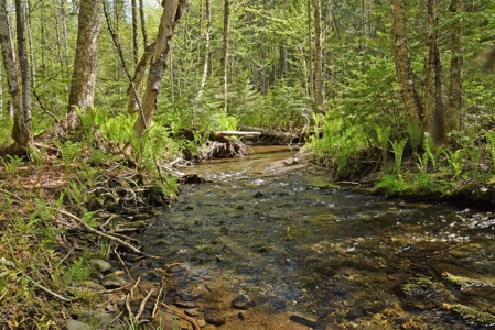 Maine Country Home for Sale in Mapleton - image 9
