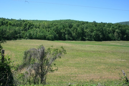 278.86 Acres Of Land In Patrick County Virginia - image 19