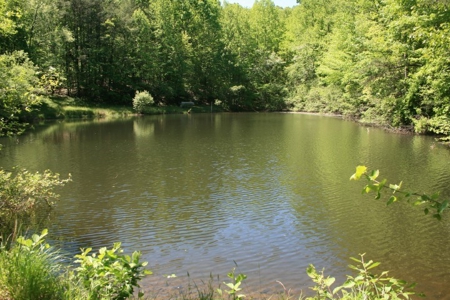 278.86 Acres Of Land In Patrick County Virginia - image 14