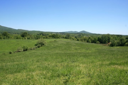278.86 Acres Of Land In Patrick County Virginia - image 7