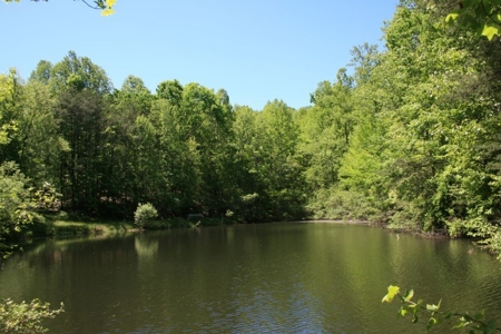 278.86 Acres Of Land In Patrick County Virginia - image 15