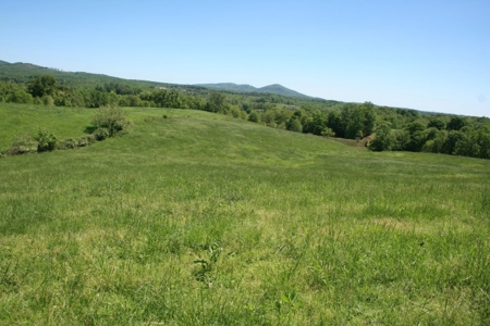 278.86 Acres Of Land In Patrick County Virginia - image 5