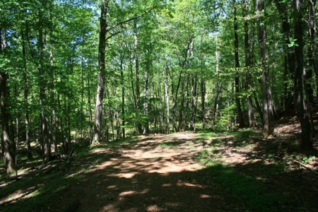 278.86 Acres Of Land In Patrick County Virginia - image 17