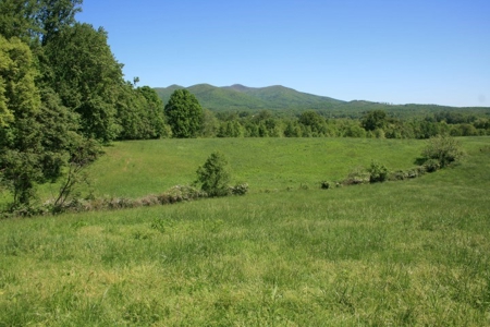 278.86 Acres Of Land In Patrick County Virginia - image 4