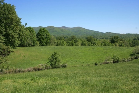 278.86 Acres Of Land In Patrick County Virginia - image 8