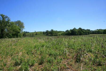 278.86 Acres Of Land In Patrick County Virginia - image 2