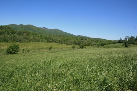 278.86 Acres Of Land In Patrick County Virginia - image 21