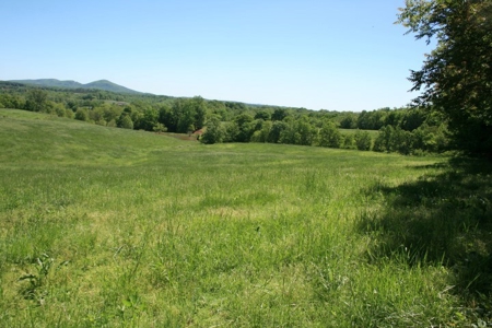 278.86 Acres Of Land In Patrick County Virginia - image 6