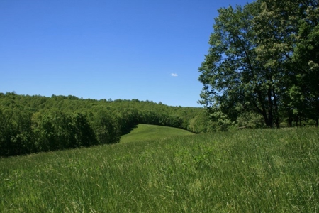 278.86 Acres Of Land In Patrick County Virginia - image 16