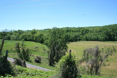278.86 Acres Of Land In Patrick County Virginia - image 20