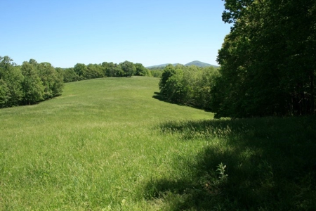 278.86 Acres Of Land In Patrick County Virginia - image 11
