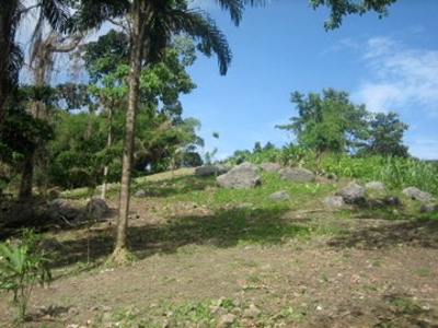 Pristine Bay and Jungle Property, Titled, Bocas del Toro - image 5