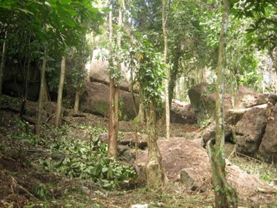 Pristine Bay and Jungle Property, Titled, Bocas del Toro - image 1