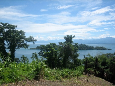 Pristine Bay and Jungle Property, Titled, Bocas del Toro - image 3